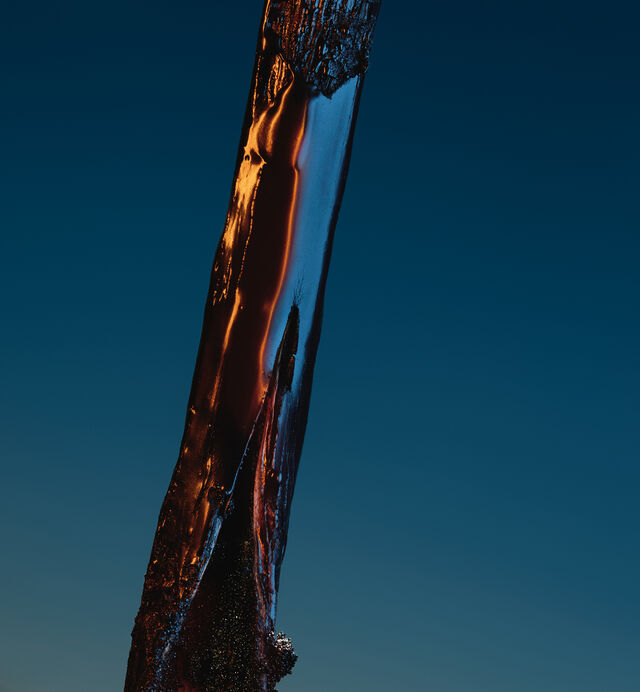 Sauvage Eau de Parfum