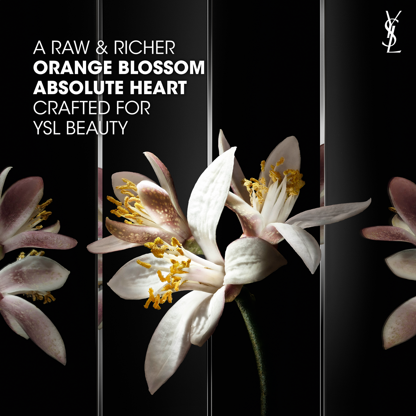 YSL - MYSLF LE PARFUM